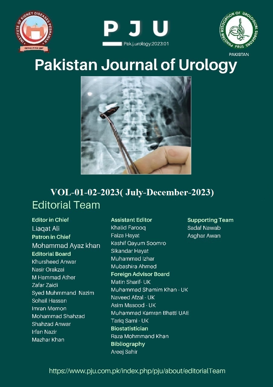 					View Vol. 1 No. 01 (2023):  Pakistan Journal of Urology (jan-  june-2023)
				