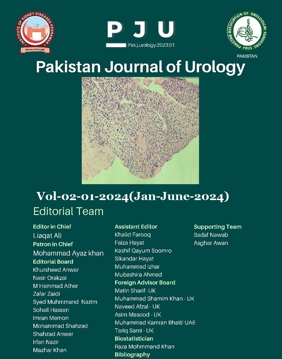 					View Vol. 2 No. 01 (2024): Pakistan Journal of Urology Vol. 02 Issue 01-(Jan- June-2024)
				